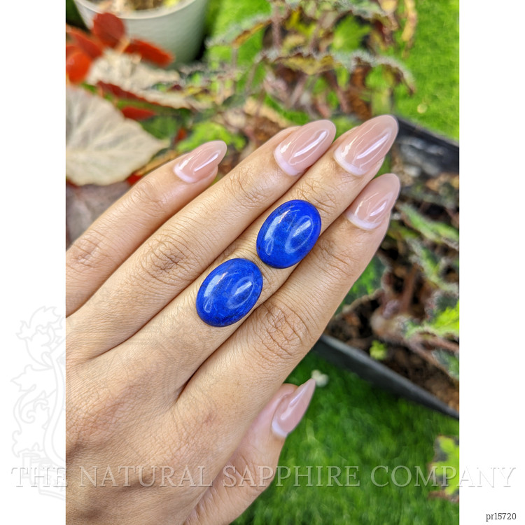 21.23 Ct.Tw. Cabochon Lapis Pair from Afghanistan