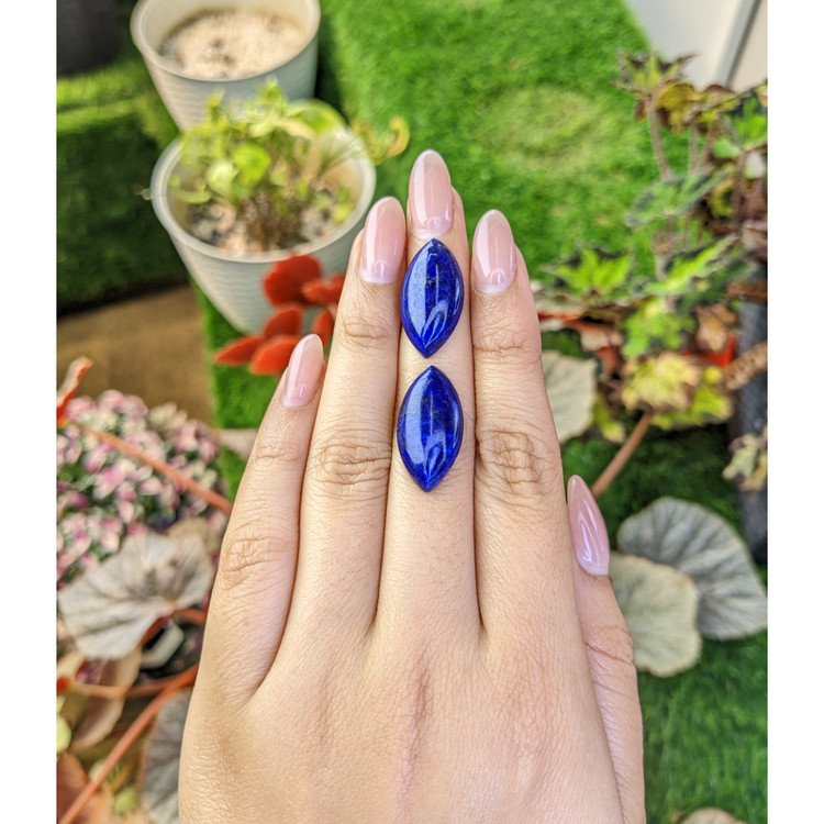 23.29 Ct.Tw. Cabochon Lapis Pair from Afghanistan