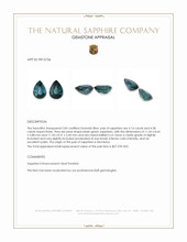 8.72 Ct.Tw.Total Carat Weight Bluish Green Sapphire Pair from Montana Appraisal
