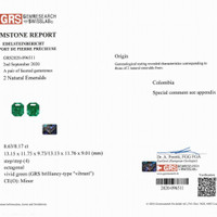 16.80 Ct.Tw.Total Carat Weight Emerald Pair from Colombia Pdf