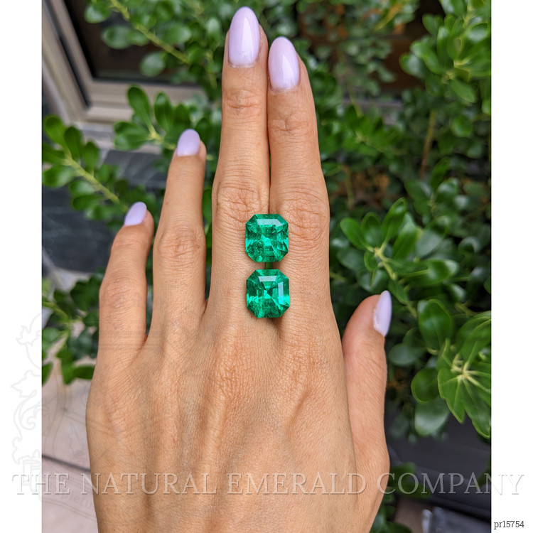 16.80 Ct.Tw. Emerald Pair from Colombia
