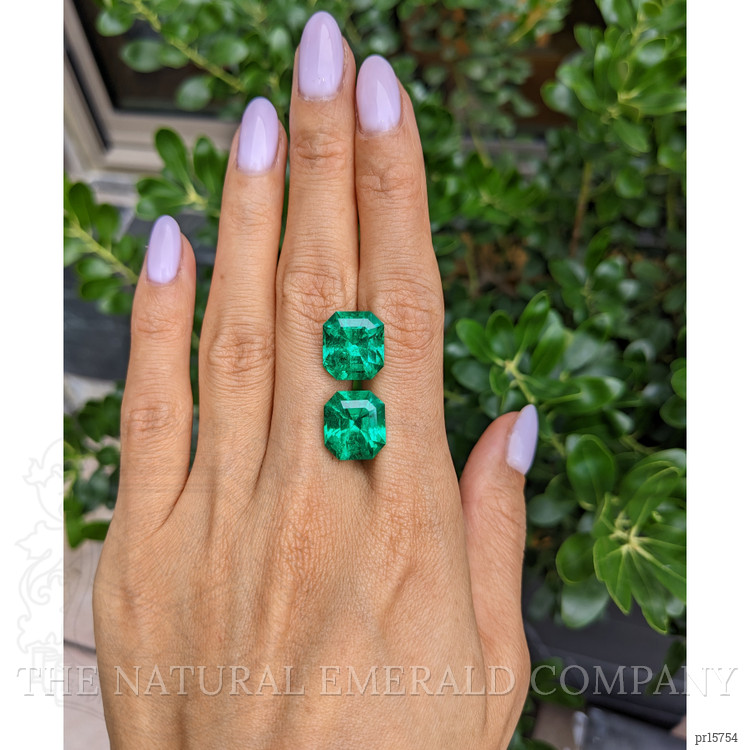 16.80 Ct.Tw. Emerald Pair from Colombia