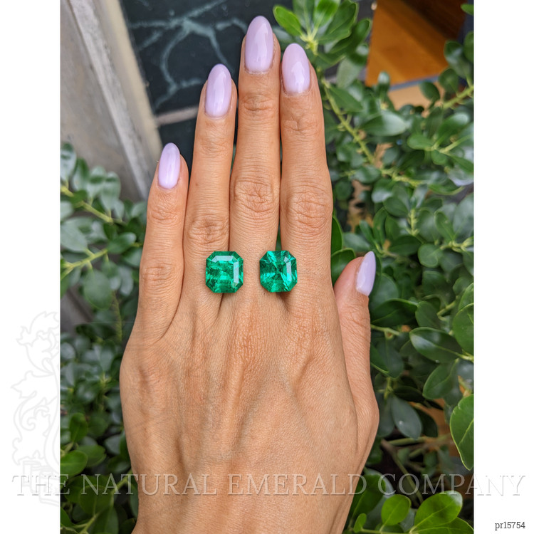16.80 Ct.Tw. Emerald Pair from Colombia