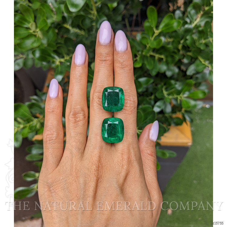 39.15 Ct.Tw. Emerald Pair from Colombia