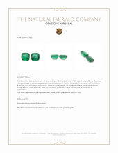 24.28 Ct.Tw.Total Carat Weight Emerald Pair from Colombia Appraisal