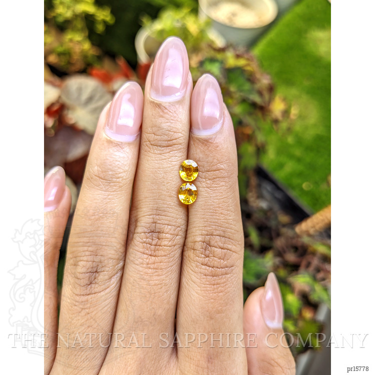 1.47 Ct.Tw. Yellow Sapphire Pair from Ceylon (Sri Lanka)