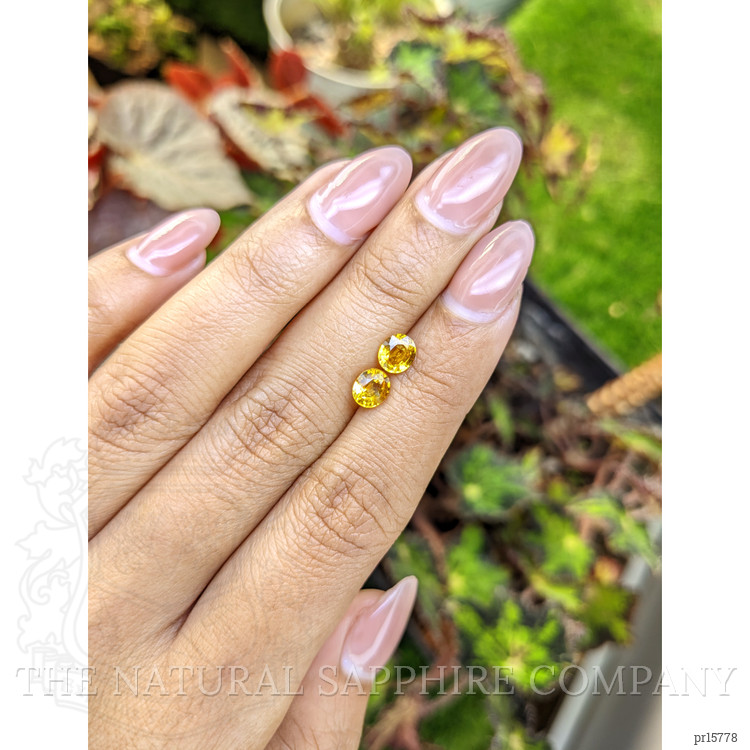 1.47 Ct.Tw. Yellow Sapphire Pair from Ceylon (Sri Lanka)