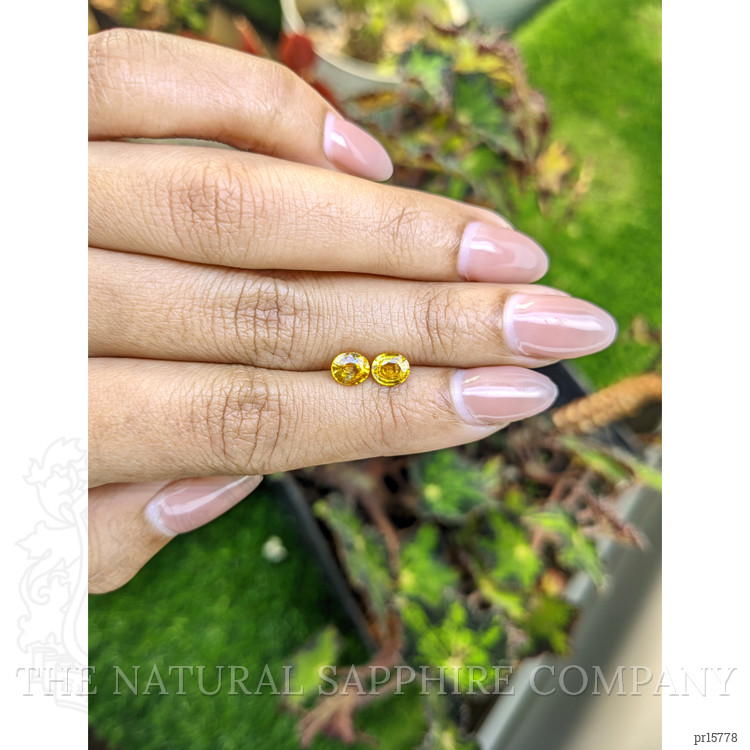 1.47 Ct.Tw. Yellow Sapphire Pair from Ceylon (Sri Lanka)