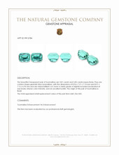 7.66&nbsp;Ct.Tw.Total Carat Weight Greenish Blue Tourmaline Pair from Brazil Appraisal