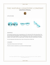 4.96&nbsp;Ct.Tw.Total Carat Weight Blue Aquamarine Pair from Tanzania Appraisal