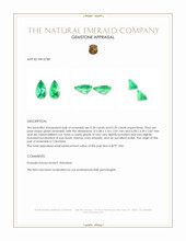 0.59&nbsp;Ct.Tw.Total Carat Weight Emerald Pair from Colombia Appraisal