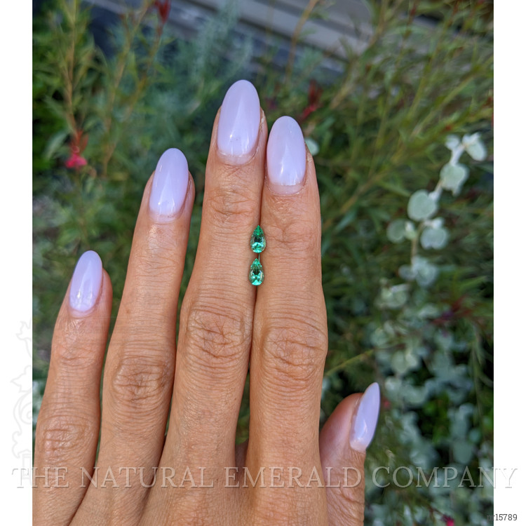 0.59 Ct.Tw. Emerald Pair from Colombia