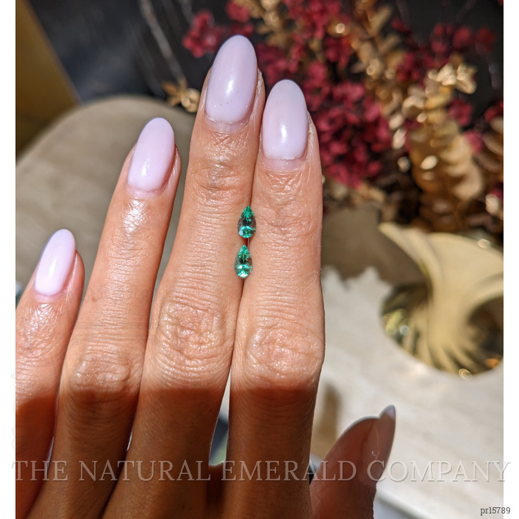 0.59 Ct.Tw. Emerald Pair from Colombia