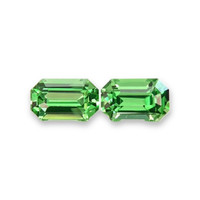0.76&nbsp;Ct.Tw.Total Carat Weight Tsavorite Garnet Pair from Tanzania Video