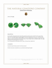 1.26 Ct.Tw.Total Carat Weight Tsavorite Garnet Pair from Tanzania Appraisal