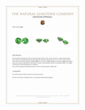 0.84 Ct.Tw.Total Carat Weight Tsavorite Garnet Pair from Tanzania Appraisal