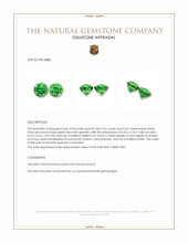 1.06 Ct.Tw.Total Carat Weight Tsavorite Garnet Pair from Tanzania Appraisal