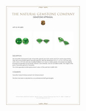 0.61&nbsp;Ct.Tw.Total Carat Weight Tsavorite Garnet Pair from Tanzania Appraisal