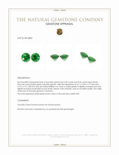 0.60 Ct.Tw.Total Carat Weight Tsavorite Garnet Pair from Tanzania Appraisal