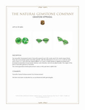 0.62 Ct.Tw.Total Carat Weight Tsavorite Garnet Pair from Tanzania Appraisal