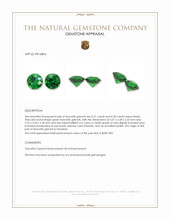0.41 Ct.Tw.Total Carat Weight Tsavorite Garnet Pair from Tanzania Appraisal