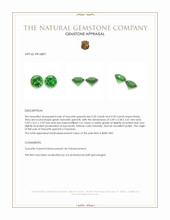 0.40 Ct.Tw.Total Carat Weight Tsavorite Garnet Pair from Tanzania Appraisal