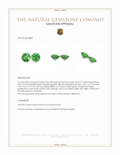 0.37&nbsp;Ct.Tw.Total Carat Weight Tsavorite Garnet Pair from Tanzania Appraisal