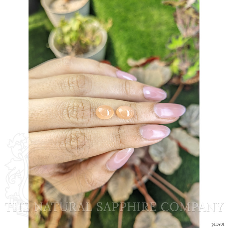 4.57 Ct.Tw. Peach Cabochon Moonstone Pair from Ceylon (Sri Lanka)