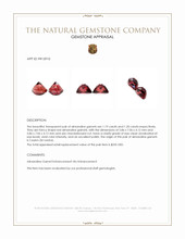 2.39&nbsp;Ct.Tw.Total Carat Weight Red Almandine Garnet Pair from Ceylon (Sri Lanka) Appraisal