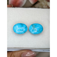 30.96&nbsp;Ct.Tw.Total Carat Weight Blue Cabochon Turquoise Pair from Persia(Iran) Life Style