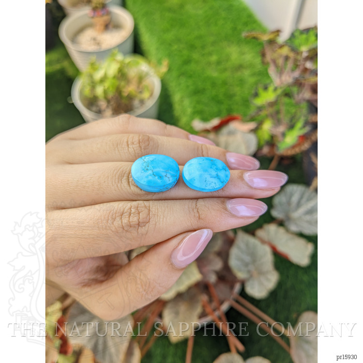 30.96 Ct.Tw. Blue Cabochon Turquoise Pair from Persia(Iran)