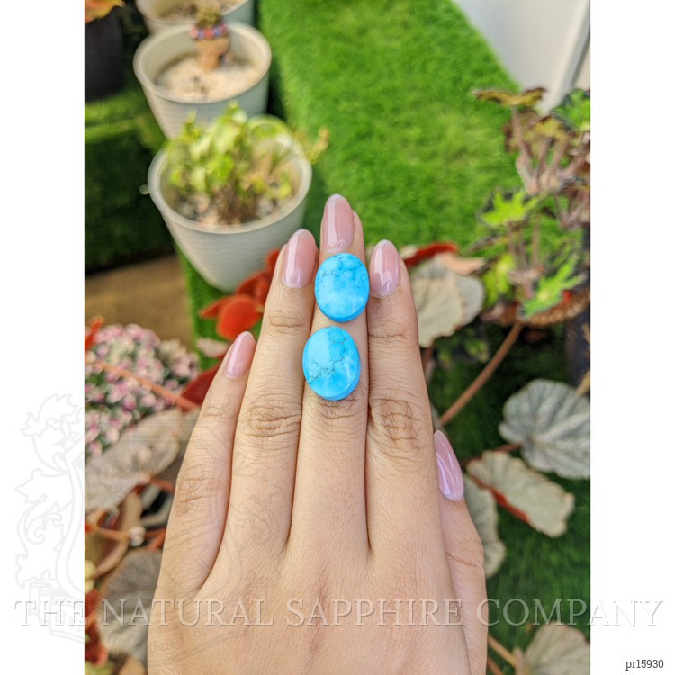 30.96 Ct.Tw. Blue Cabochon Turquoise Pair from Persia(Iran)