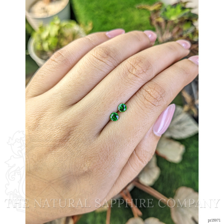 0.53 Ct.Tw. Tsavorite Garnet Pair from Madagascar