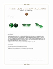 0.49 Ct.Tw.Total Carat Weight Tsavorite Garnet Pair from Madagascar Appraisal
