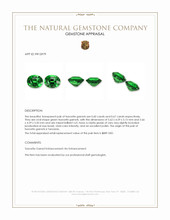 1.27&nbsp;Ct.Tw.Total Carat Weight Tsavorite Garnet Pair from Tanzania Appraisal