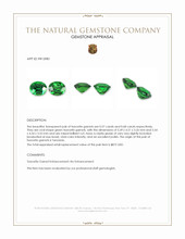 1.25 Ct.Tw.Total Carat Weight Tsavorite Garnet Pair from Tanzania Appraisal