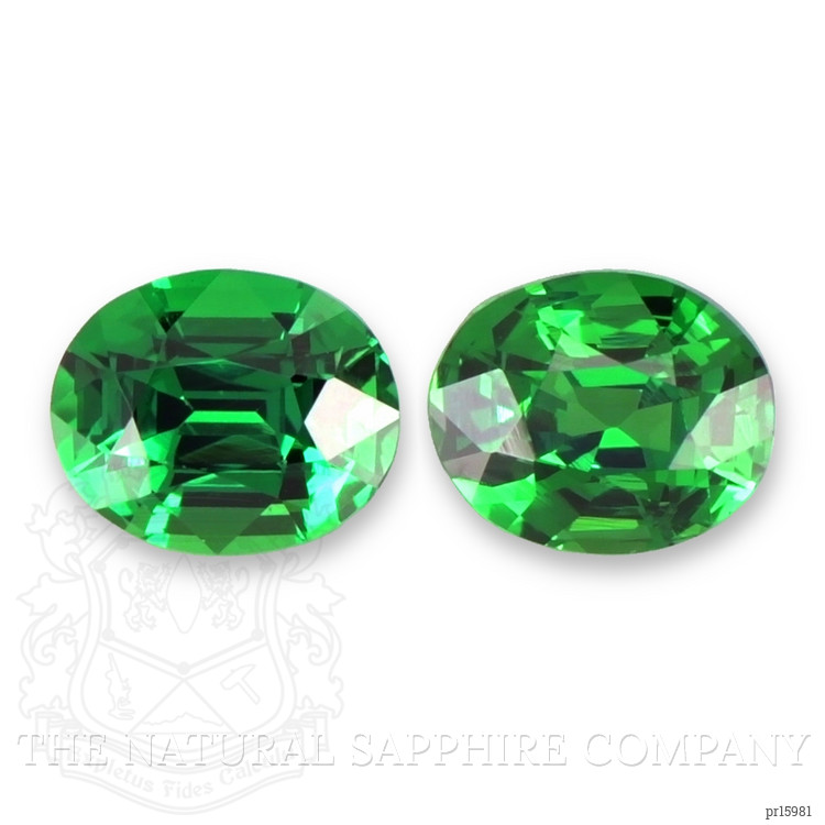 1.25 Ct.Tw. Tsavorite Garnet Pair from Tanzania