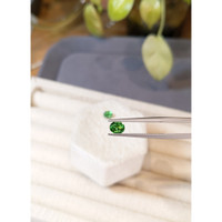 1.26 Ct.Tw.Total Carat Weight Tsavorite Garnet Pair from Tanzania Life Style