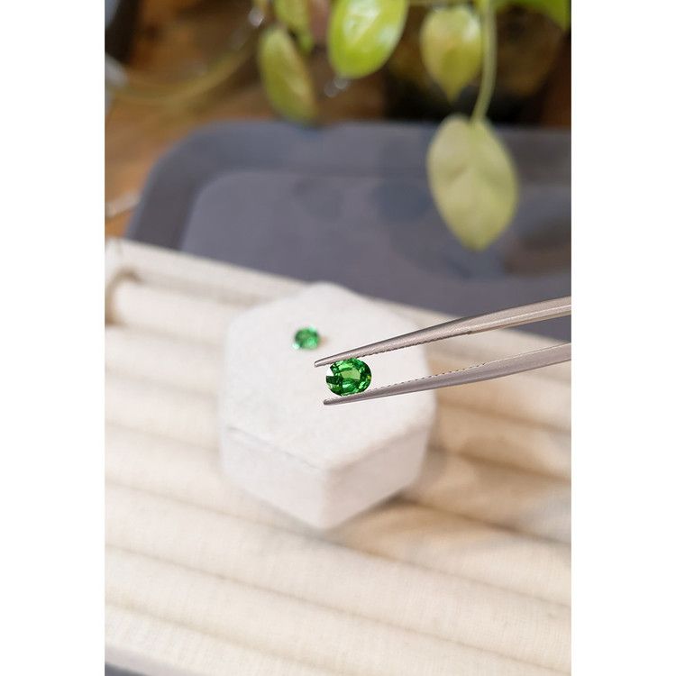 1.14 Ct.Tw. Tsavorite Garnet Pair from Tanzania