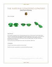 1.29 Ct.Tw.Total Carat Weight Tsavorite Garnet Pair from Tanzania Appraisal