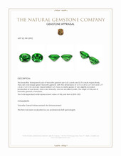 1.35&nbsp;Ct.Tw.Total Carat Weight Tsavorite Garnet Pair from Tanzania Appraisal