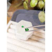 1.35 Ct.Tw.Total Carat Weight Tsavorite Garnet Pair from Tanzania Life Style