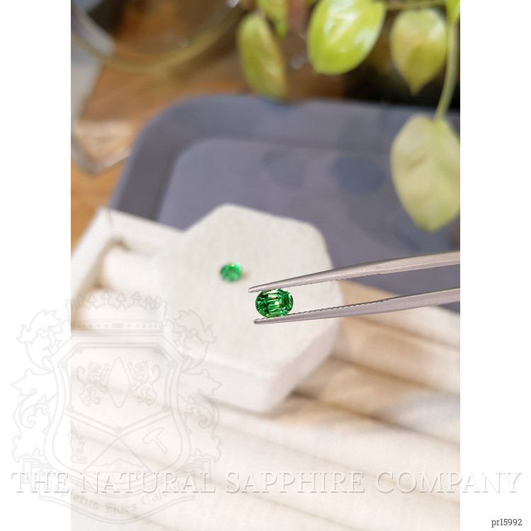 1.35 Ct.Tw. Tsavorite Garnet Pair from Tanzania