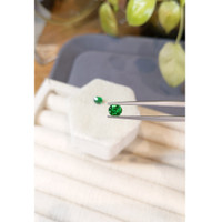 1.45 Ct.Tw.Total Carat Weight Tsavorite Garnet Pair from Tanzania Life Style