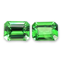 1.45&nbsp;Ct.Tw.Total Carat Weight Tsavorite Garnet Pair from Tanzania Video