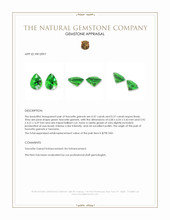 1.14 Ct.Tw.Total Carat Weight Tsavorite Garnet Pair from Tanzania Appraisal