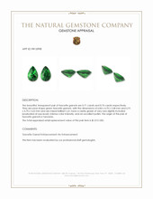 1.45&nbsp;Ct.Tw.Total Carat Weight Tsavorite Garnet Pair from Tanzania Appraisal