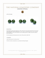 28.21 Ct.Tw.Total Carat Weight Green Jade Pair from Burma (Myanmar) Appraisal