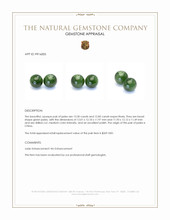 26.35 Ct.Tw.Total Carat Weight Green Jade Pair from China Appraisal