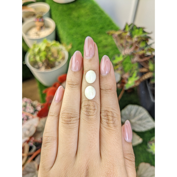 6.72 Ct.Tw. Salmon and White Cabochon Coral Pair from Italy